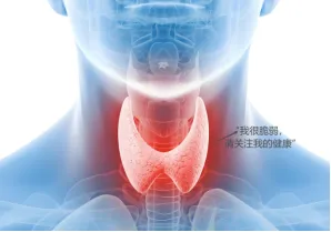 【世界甲状腺日】关注甲功检查·守护生命腺